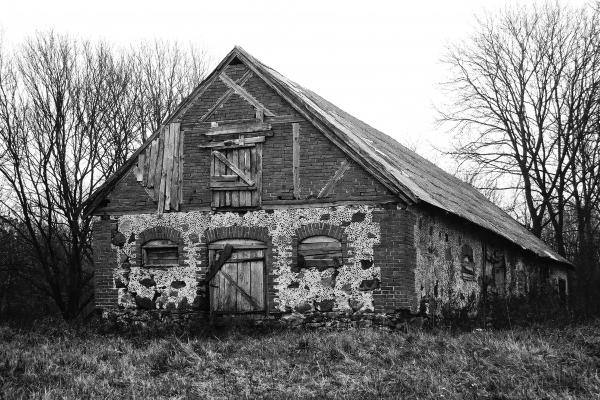 Ąžuolpamūšės dvaro kiaulidė. Vido Dulkės nuotrauka, 9 dešimtmetis
